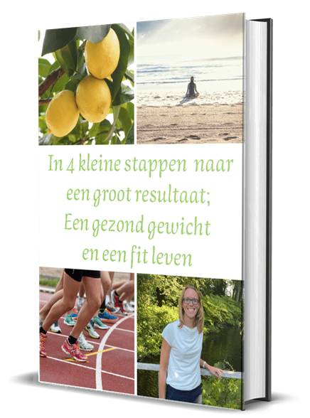 ebook 4 kleine stappen Gratis ebook 4 kleine stappen - Leefstijl, Voeding en Vitaliteit